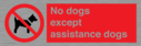 no-dogs-except-assistance-dogs~